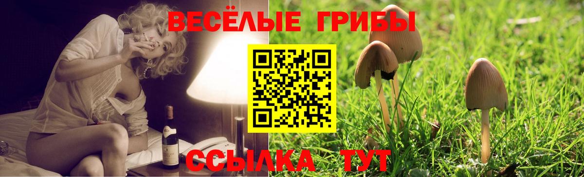 Псилоцибиновые грибы GOLDEN TEACHER Протвино