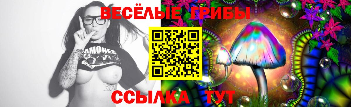 Протвино  Псилоцибиновые грибы Magic Shrooms  купить наркотик  Вход с VPN 